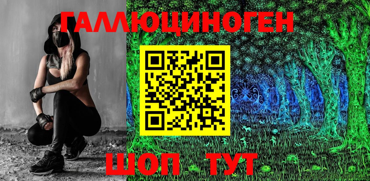 Псилоцибиновые грибы Psilocybine cubensis Зима
