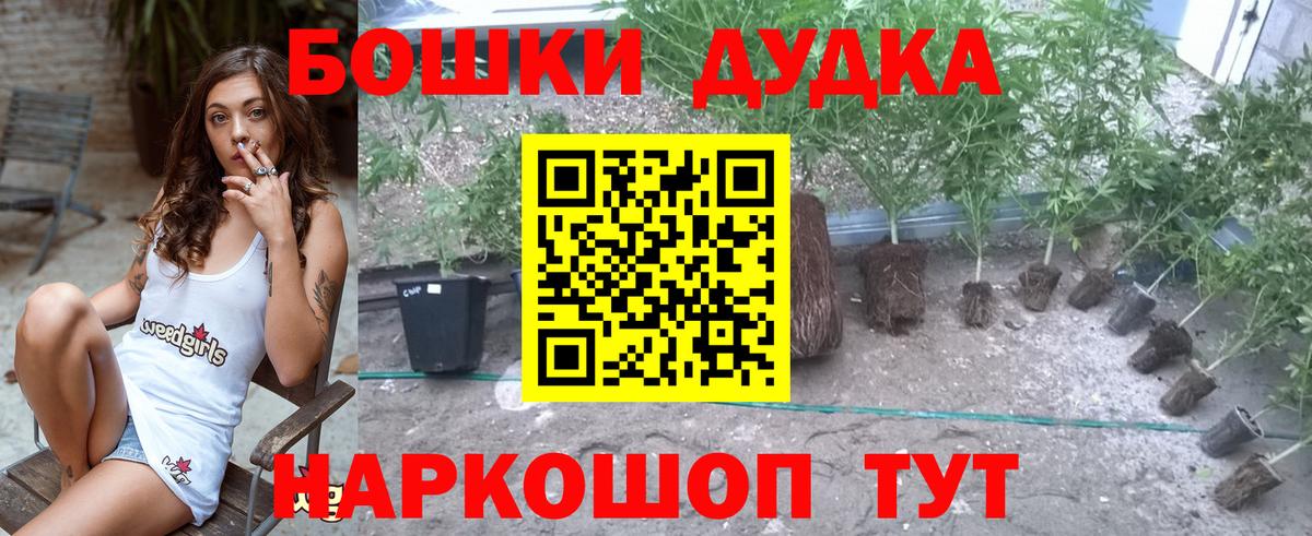 Зима  МАРИХУАНА семена  Бошки Шишки Amnesia  Конопля SATIVA & INDICA  Вход с VPN 